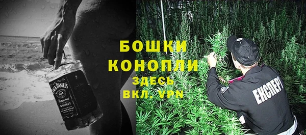 стаф Абдулино