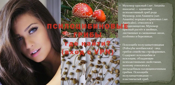 метадон Магас