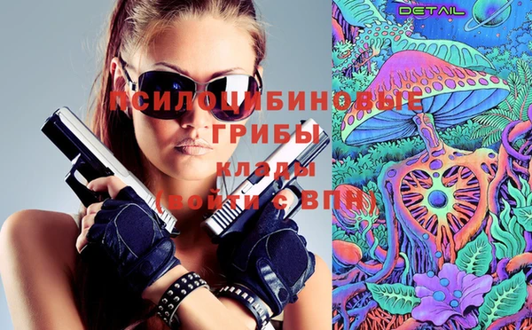 гашик Абинск