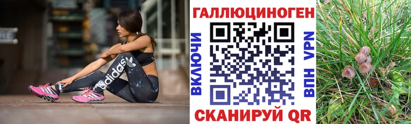 Галлюциногенные грибы MAGIC MUSHROOMS  Ильский 